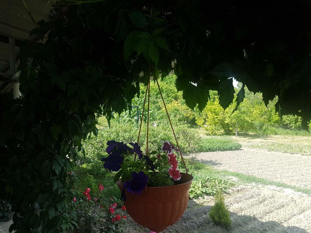 Happy House Hotel Chʼiva Exterior foto